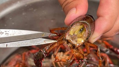 風(fēng)味酶提升酶解蝦膏的誘食性有明顯作用