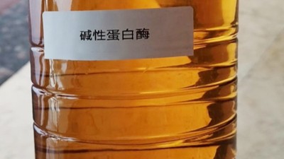 酶制劑助力含酶洗衣液品質(zhì)升級