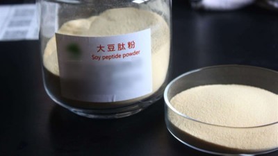 生產(chǎn)大豆低聚肽與多肽會(huì)用到哪些酶制劑？